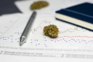 The Enchantment of Microdosing THC: a Fashionable Turn on Conventional Consumption